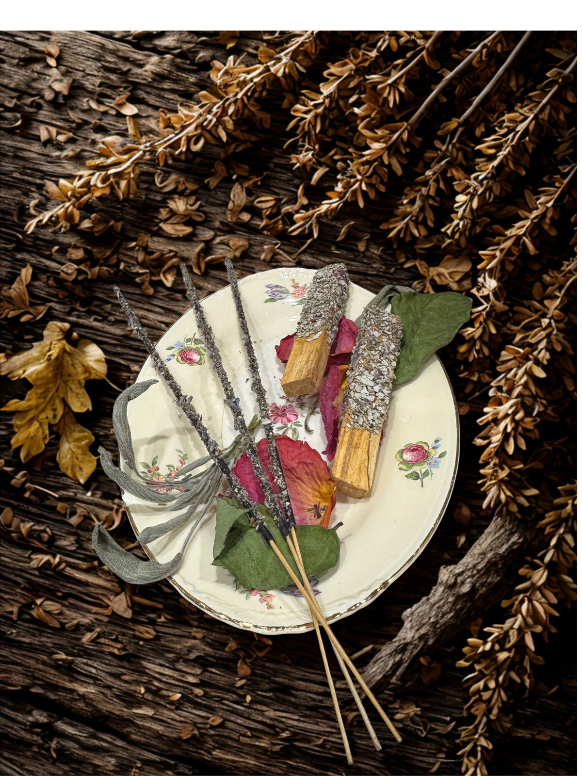 Protection — Botanical Incense Burn Form